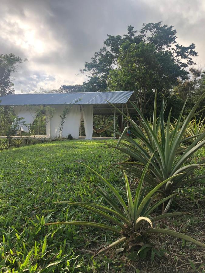 Soursop Hostel Cueta 外观 照片